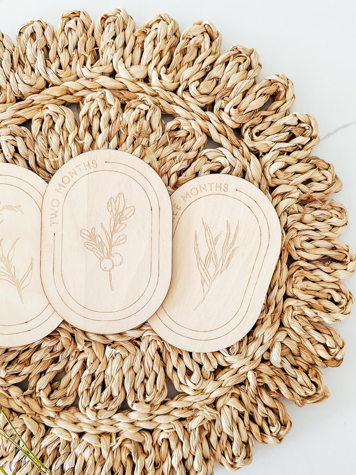Wildflower Floral Baby Monthly Milestone Markers | Boho Nursery Decor | Children's Photo Prop | Monthly Milestones | Baby's First Year