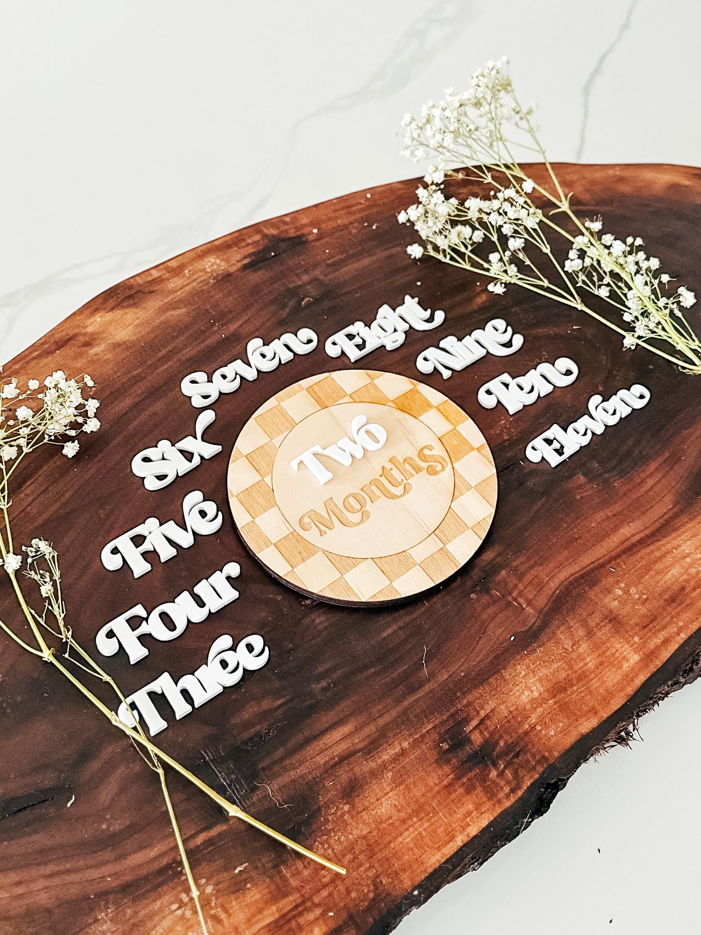 Modern Checkered Baby Monthly Milestone Markers | Boys Nursery Decor | Children's Photo Prop | Monthly Milestones Sign | Baby's First Year
