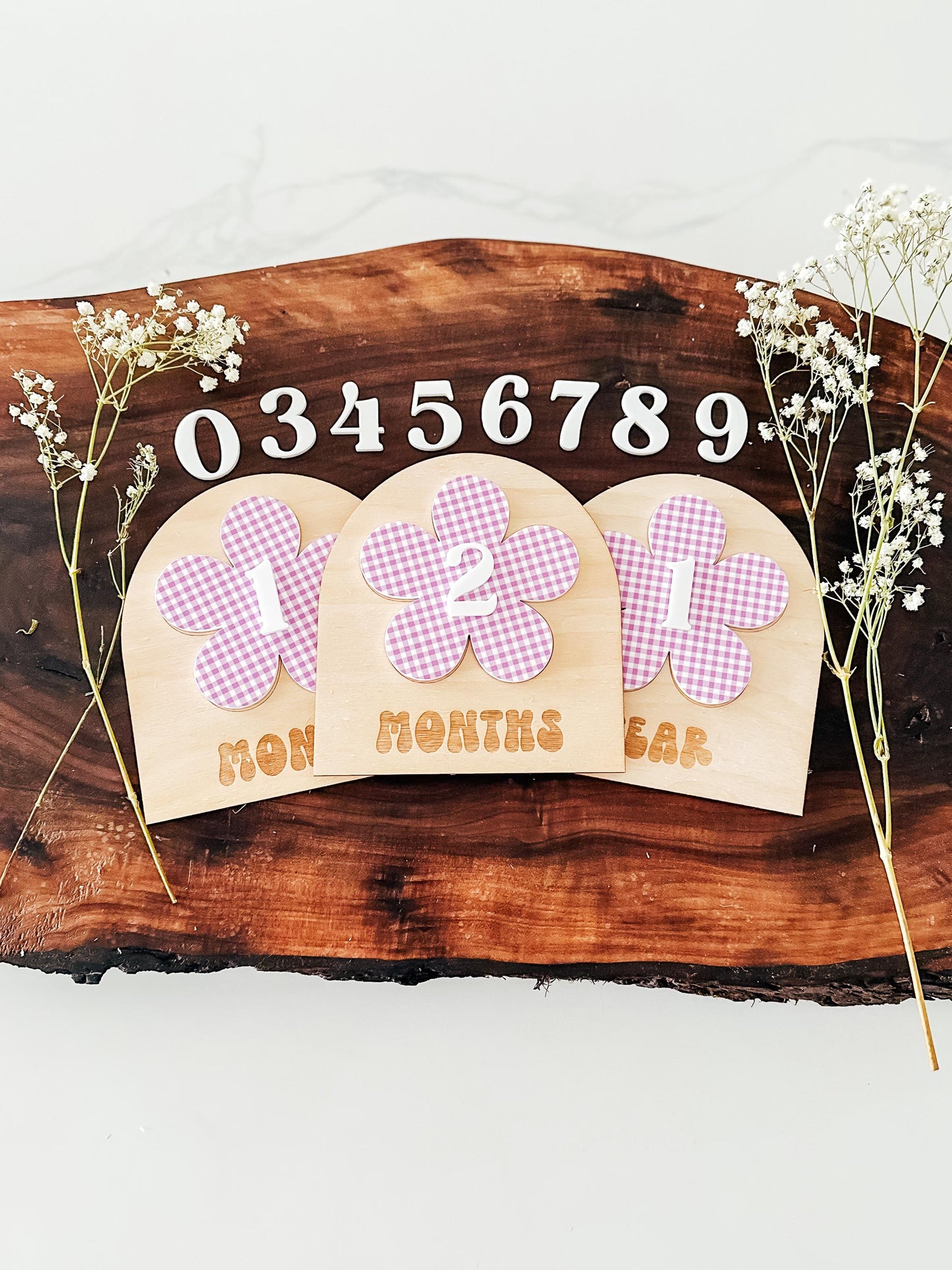Gingham Baby Monthly Milestone Markers | Boho Nursery Decor | Children's Photo Prop | Monthly Milestones Sign | Baby's First Year