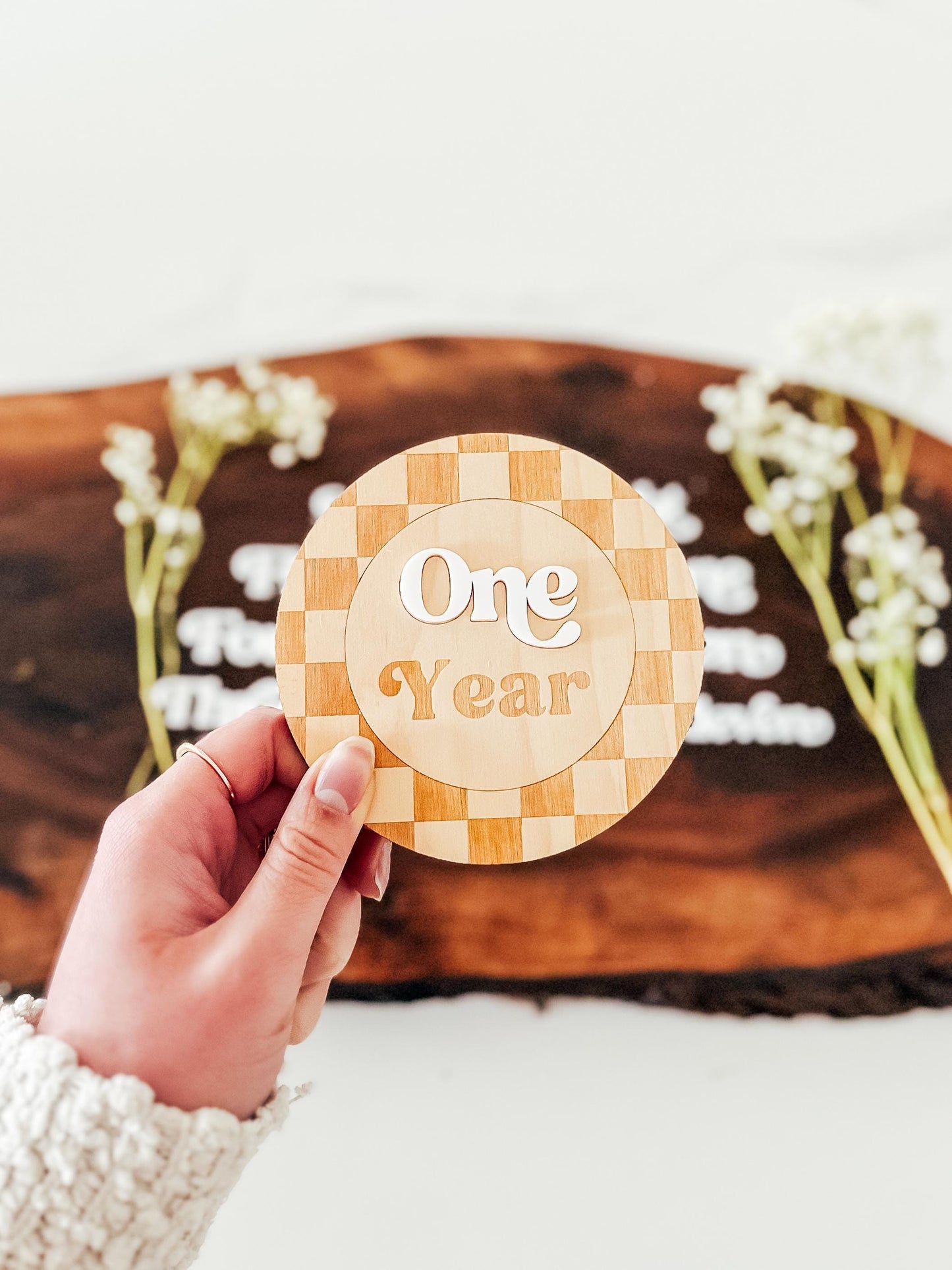 Modern Checkered Baby Monthly Milestone Markers | Boys Nursery Decor | Children's Photo Prop | Monthly Milestones Sign | Baby's First Year
