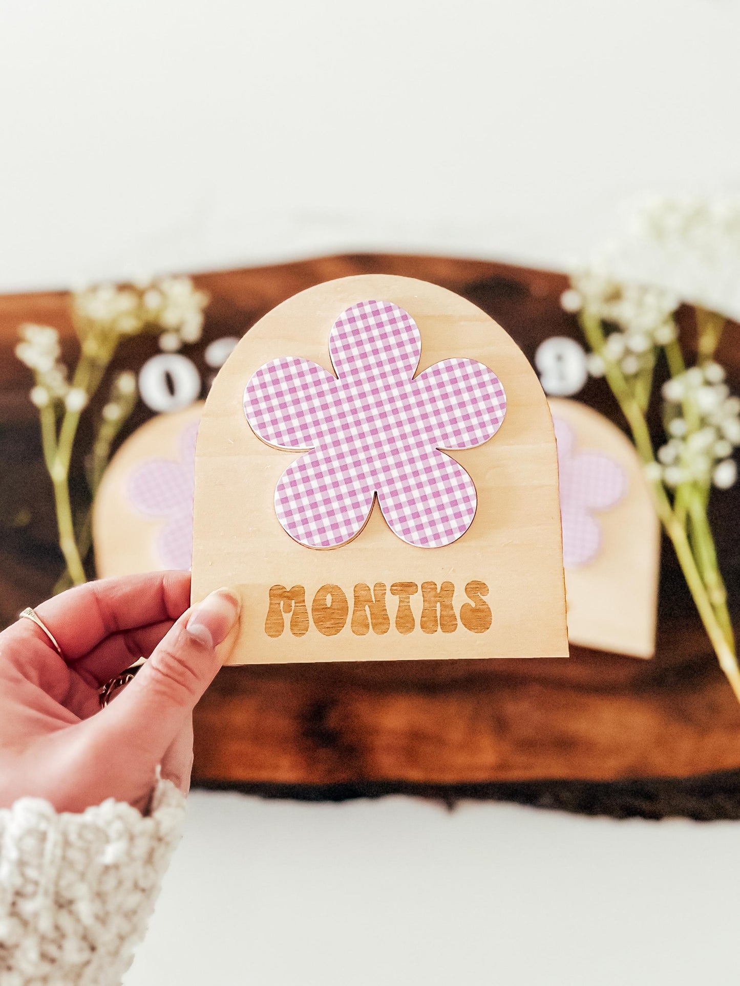 Gingham Baby Monthly Milestone Markers | Boho Nursery Decor | Children's Photo Prop | Monthly Milestones Sign | Baby's First Year