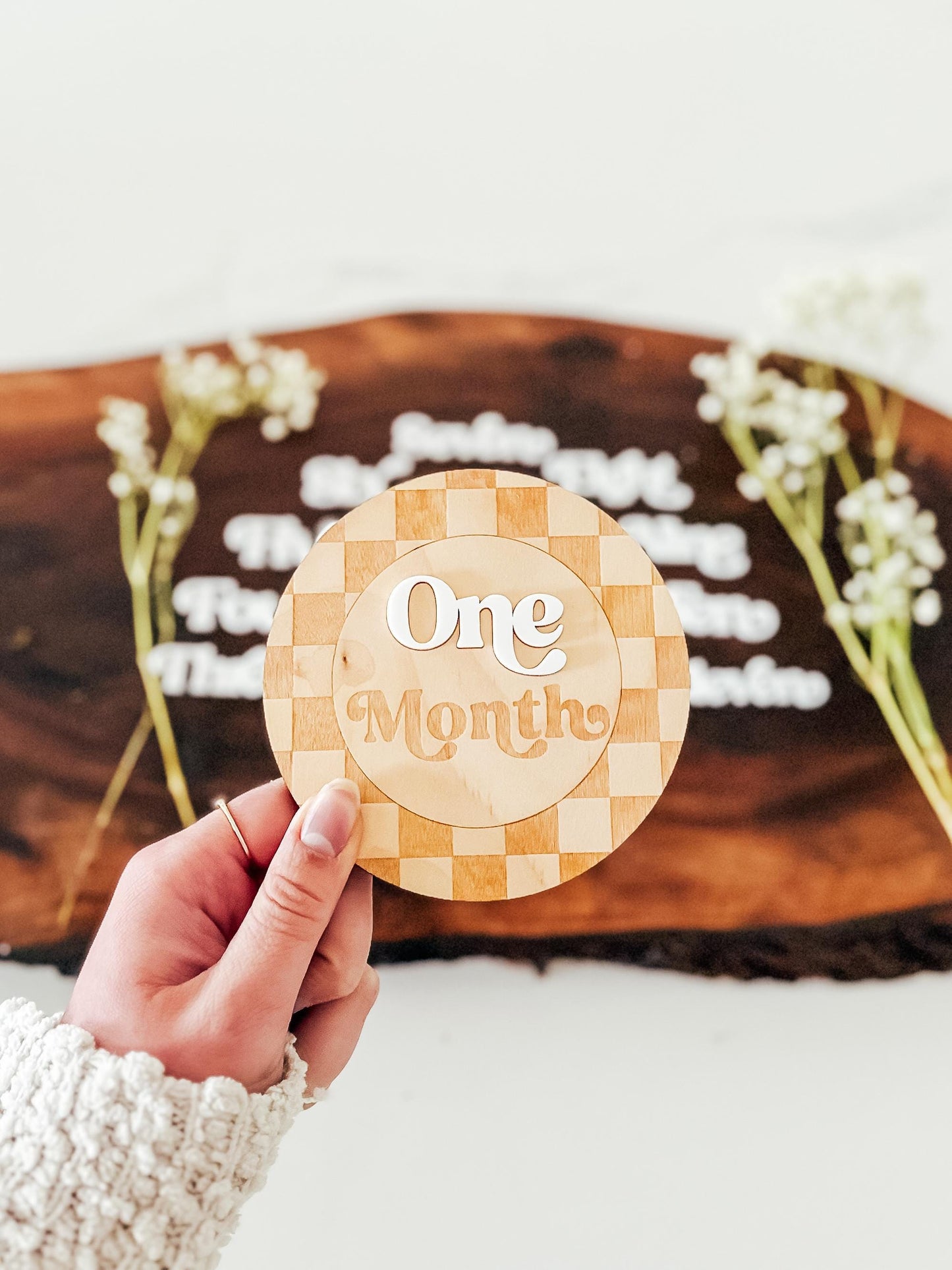 Modern Checkered Baby Monthly Milestone Markers | Boys Nursery Decor | Children's Photo Prop | Monthly Milestones Sign | Baby's First Year