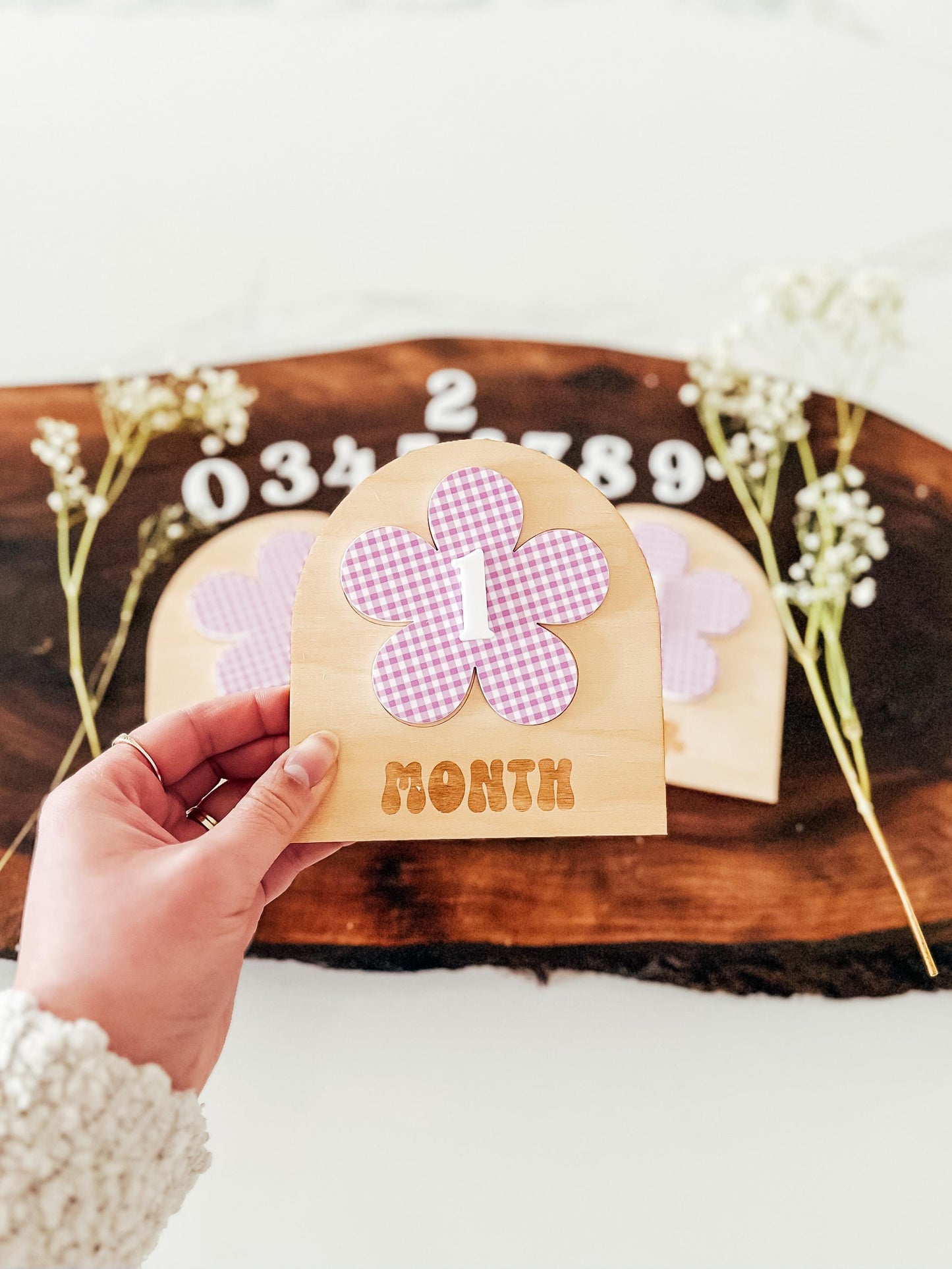 Gingham Baby Monthly Milestone Markers | Boho Nursery Decor | Children's Photo Prop | Monthly Milestones Sign | Baby's First Year