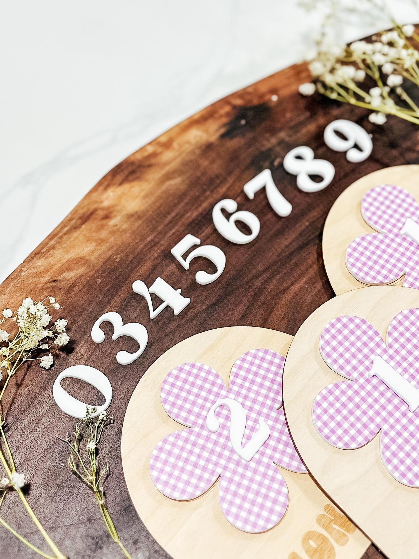Gingham Baby Monthly Milestone Markers | Boho Nursery Decor | Children's Photo Prop | Monthly Milestones Sign | Baby's First Year