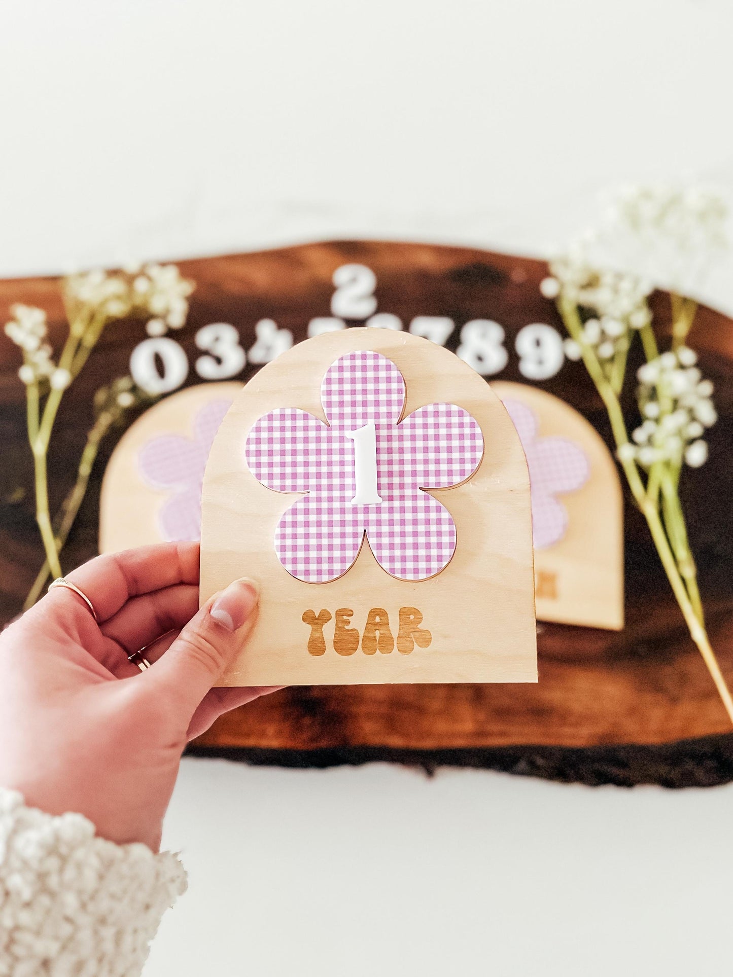 Gingham Baby Monthly Milestone Markers | Boho Nursery Decor | Children's Photo Prop | Monthly Milestones Sign | Baby's First Year