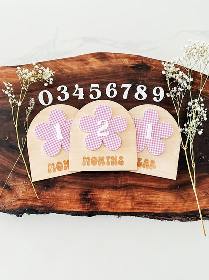 Gingham Baby Monthly Milestone Markers | Boho Nursery Decor | Children's Photo Prop | Monthly Milestones Sign | Baby's First Year