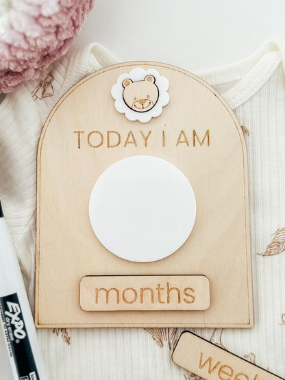 Baby Milestone Marker | Dry Erase Monthly Milestone Sign | Baby Milestone | Baby Shower Gift | Nursery Sign | Photo Prop | Baby Announcement